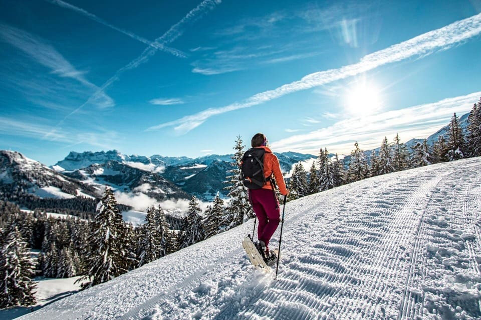 Sortie en raquettes à neige sur les hauteurs de Châtel