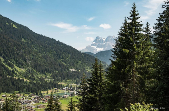 Environnement Sorbiers SS11 à Châtel, France