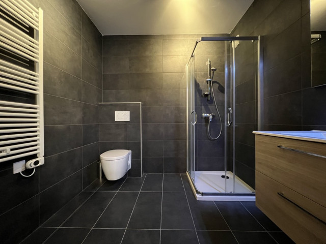 Apartment Chalet des Freinets 2D, shower room, Châtel Les Portes du Soleil