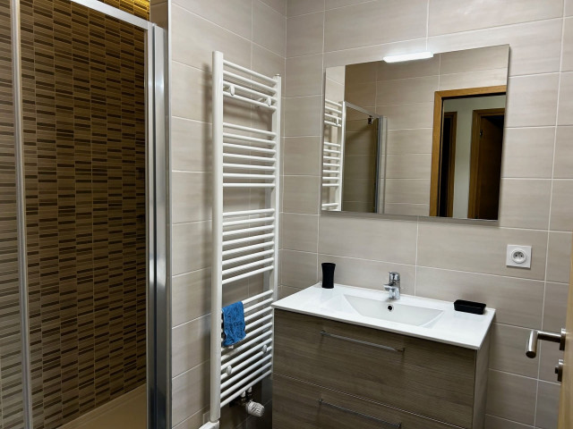 Apartment Chalet des Freinets, Shower room, Châtel Ski 74