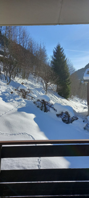 Appartement Croix de Savoie n°10, Vue du balcon, Châtel Vacances au ski