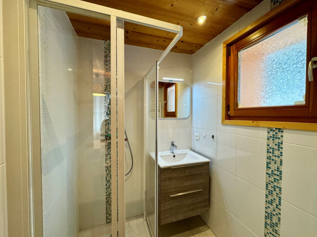 Apartment in Chalet l'Ourson, Chatel, Shower room, Ski pass 74