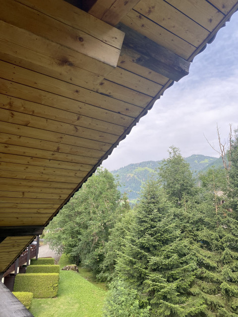 Appartement dans chalet la clairière, vue balcon, Châtel Les Portes du Soleil