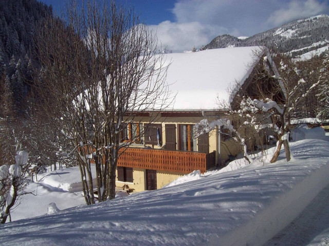 Appartement dans chalet le Bivouac,Vue, Châtel