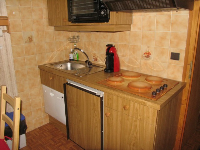 Apartment in chalet Perthuis, Kitchen, Châtel Haute-Savoie