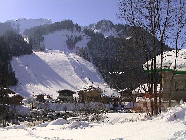 Apartment in chalet Perthuis, Outside view in winter, Châtel Snow 74