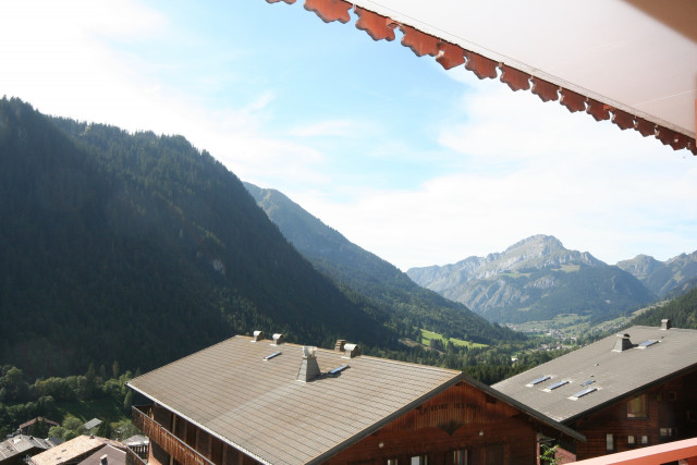 Appartement Echo des Montagnes 6, vue sur les montagnes, Châtel Haute-Savoie