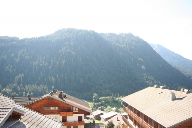 Apartment Echo des Montagnes 6, mountain view, Châtel Haute-Savoie