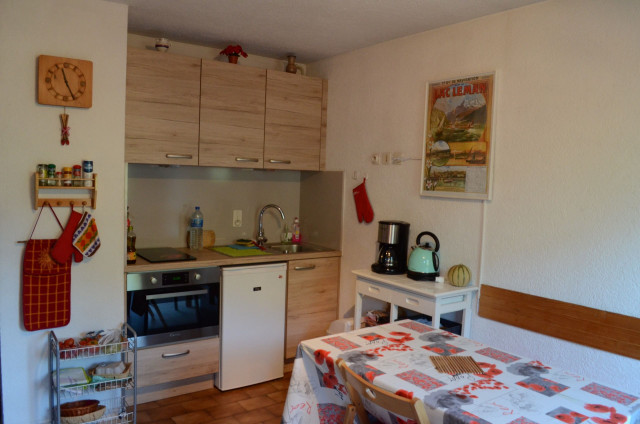 Apartment Les Montagnys, kitchen, Châtel Booking