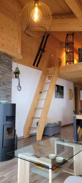 Apartment n°16 in residence Champs Fleuris, Mezzanine access, Chatel, Ski holiday