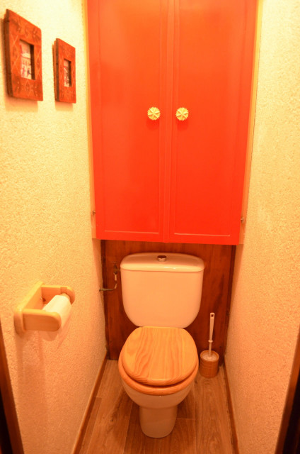 Appartement Perchoir 9, toilette, Châtel Haute-Savoie