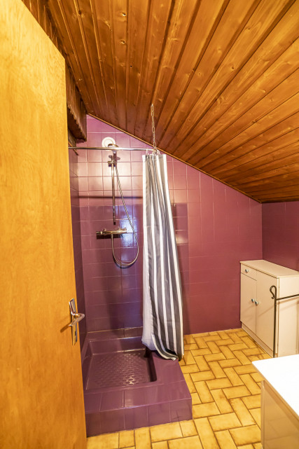 Apartment Vieux Four 01, Bathroom, Châtel Ski rental