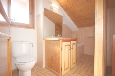 Balcony of the Alps 6, Bathroom and WC, Châtel Mountain 74