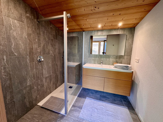 Chalet du Saix A, Châtel, Shower room, Skiing area 74390