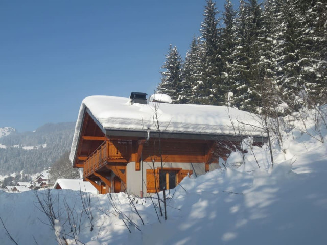 Chalet Le Cerf, Chatel, Chalet, Mountain village atmosphere 74