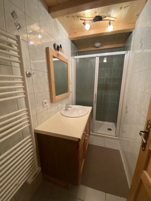 Chalet Le Cerf, Chatel, Shower room, Mountain chalet 74