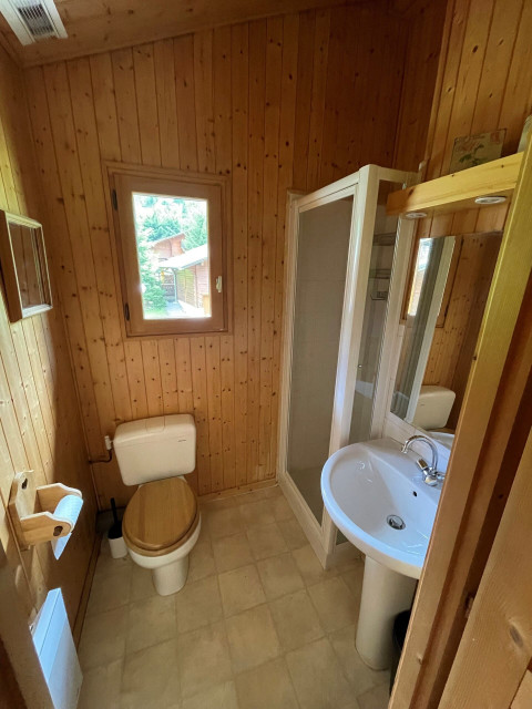 Chalet Le Rêve, Salle de douche avec WC, Châtel Hiver 74