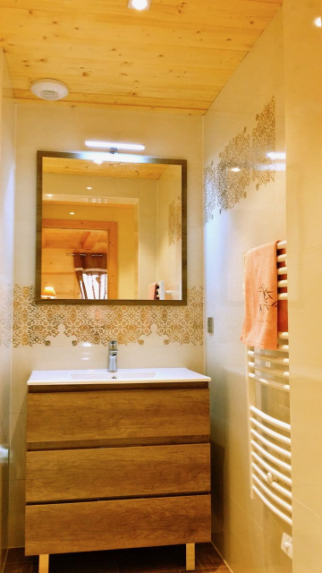 Chalet Roche Alpine, Shower room, Ski rental