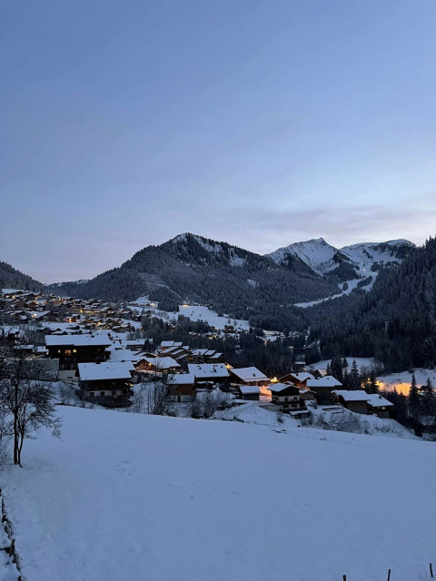 Alpaga C half-chalet in Châtel, view over the village