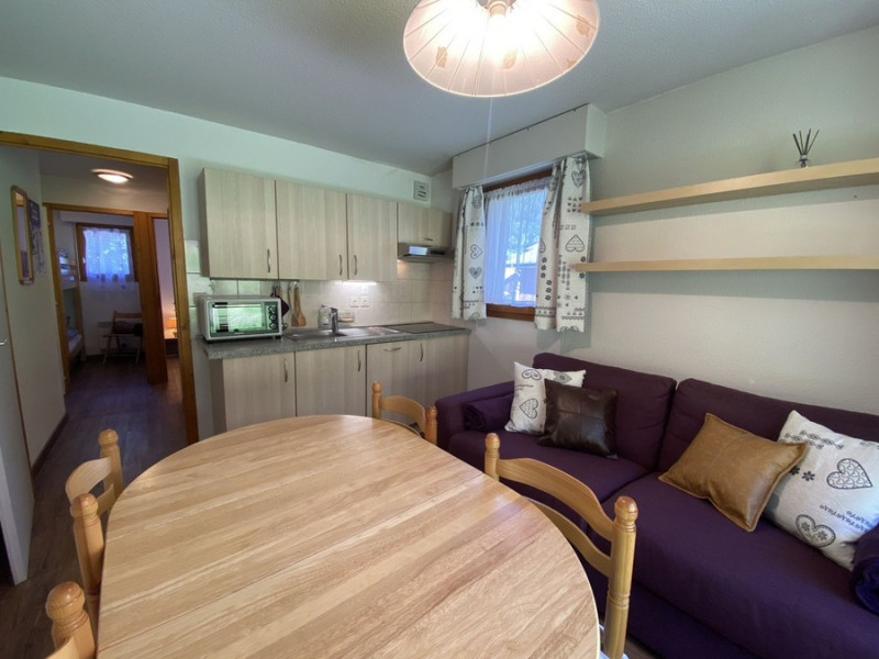 Apartement 1 in Residence Les Iris, to rent in Chatel ski resort