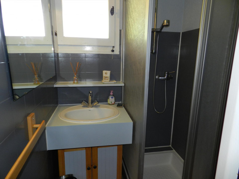 Apartment rental Les Biches nr12A with shower room, Châtel