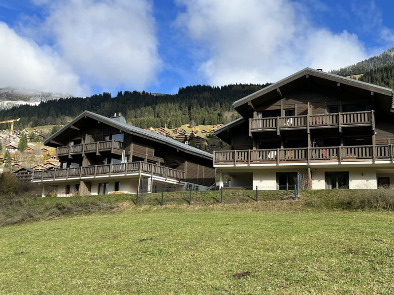 Alpaga C half-chalet in Châtel, large capacity rental