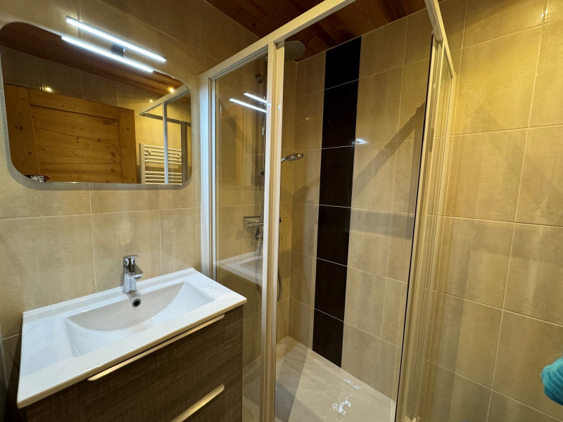 Apartment in Chalet l'Ourson, Chatel, Shower room, Super Chatel gondola 74