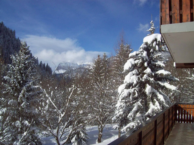 Appartement dans chalet le Bivouac,Vue du balcon, Châtel Neige 74