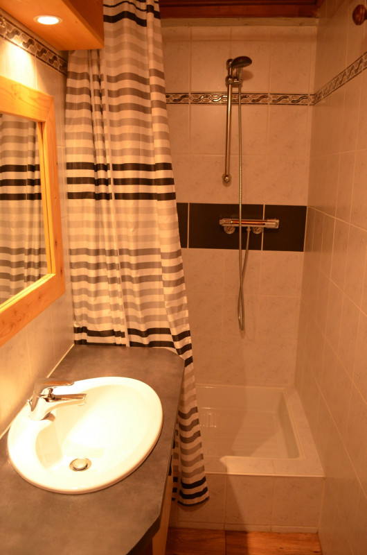 Apartment in chalet The Pivottes, Shower room, Châtel Sun 74
