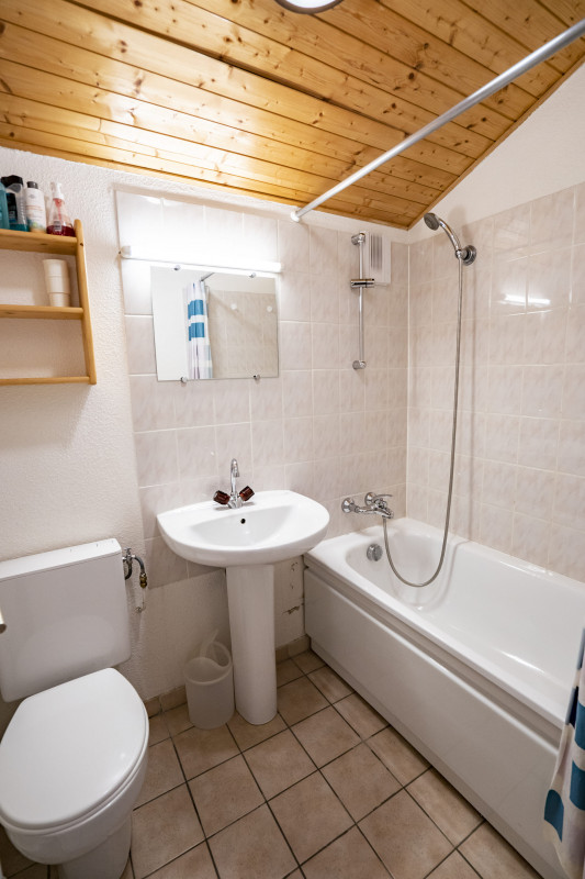Apartment Forsythia, Bathroom, Châtel Chalet 74