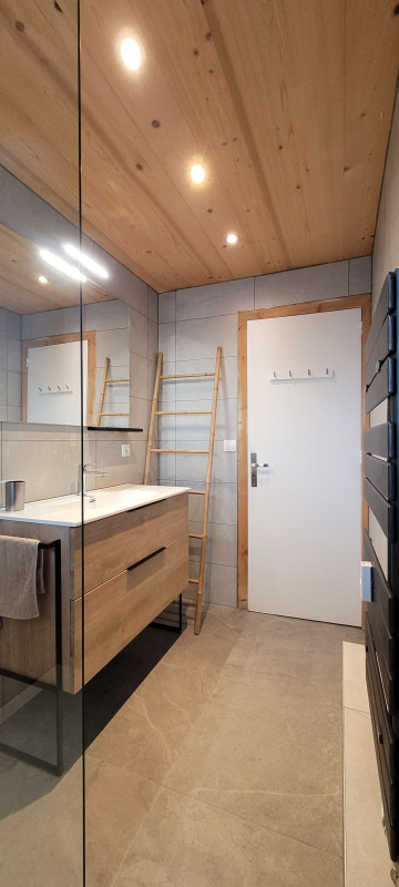 Apartment n°16 in residence Champs Fleuris, Shower room, Chatel, Family holiday