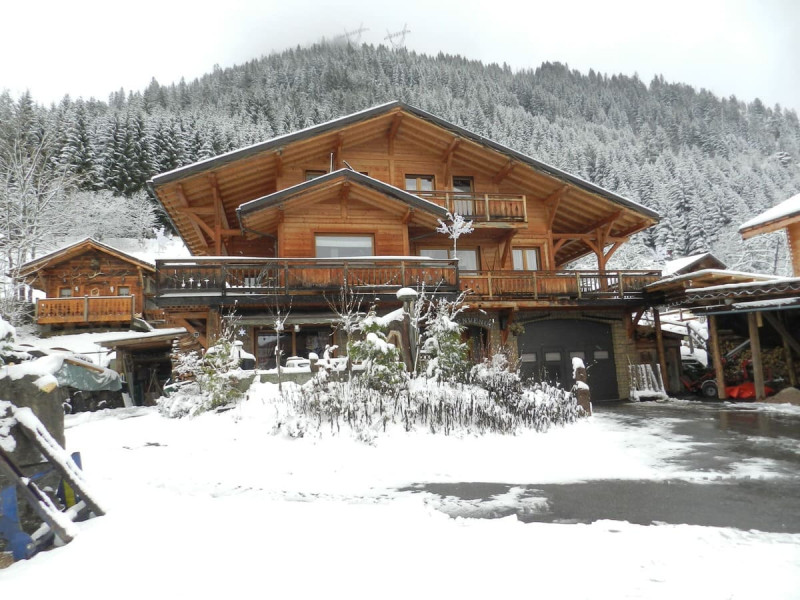 Apartment Penthouse Châtel, in winter