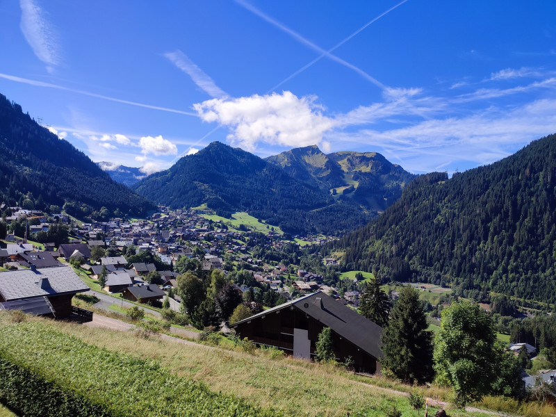 Apartment Perchoir 9, balcony with panoramic view, Châtel