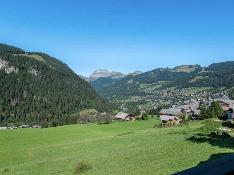 Chalet de Vonnes, View, Châtel 74390