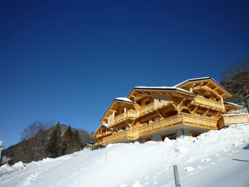 Chalet Etagne, outdoor winter view chalet, Châtel vallée d'Abondance