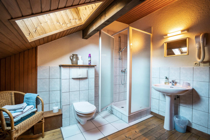 Chalet Jacrose, Shower room with WC, Châtel Hiking