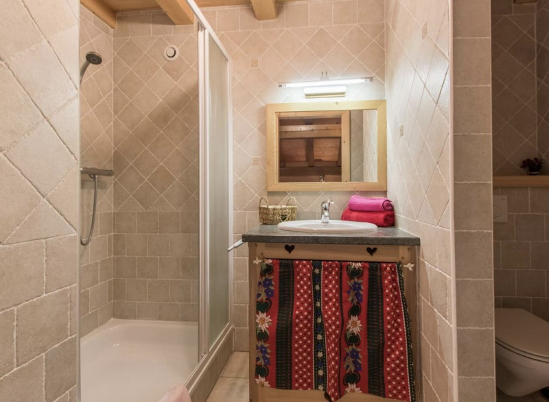 Chalet l'Edelweiss, Shower room with WC, Châtel Ski 74