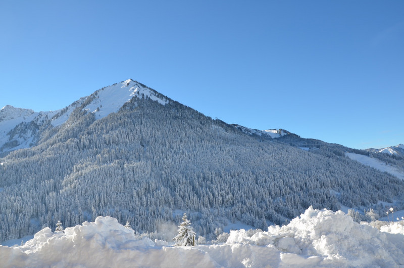 Chalet l'Edelweiss, Vue du chalet, Châtel Piste de ski 74