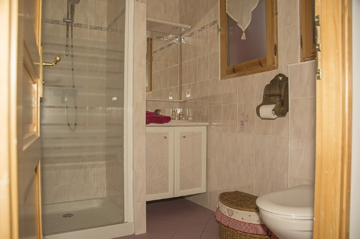 Chalet The Boule de Neige, Shower room, Châtel 74390