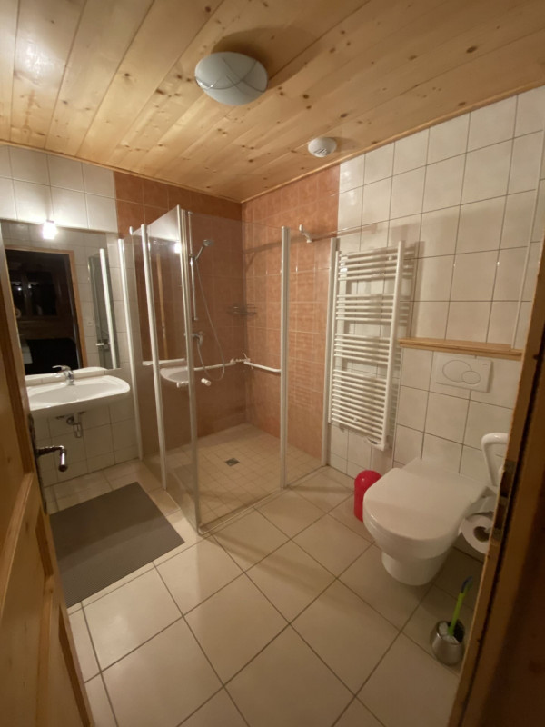 Chalet Le Cerf, Chatel, Shower room and toilet, Ski lessons 74