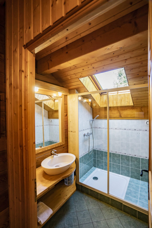 Chalet The Muverant, Shower room, Châtel Ski slope