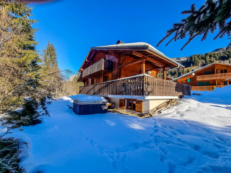 Chalet Le Rêve, Vue extérieur, Châtel Portes du Soleil