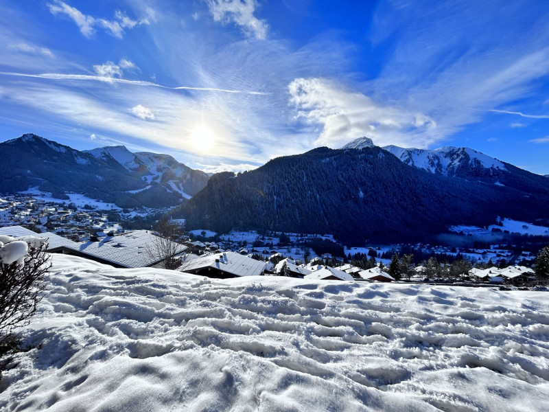 Résidence l'Alpage, Appartement 2E, Châtel, Vue de la terrasse, Mont de Grange 74390