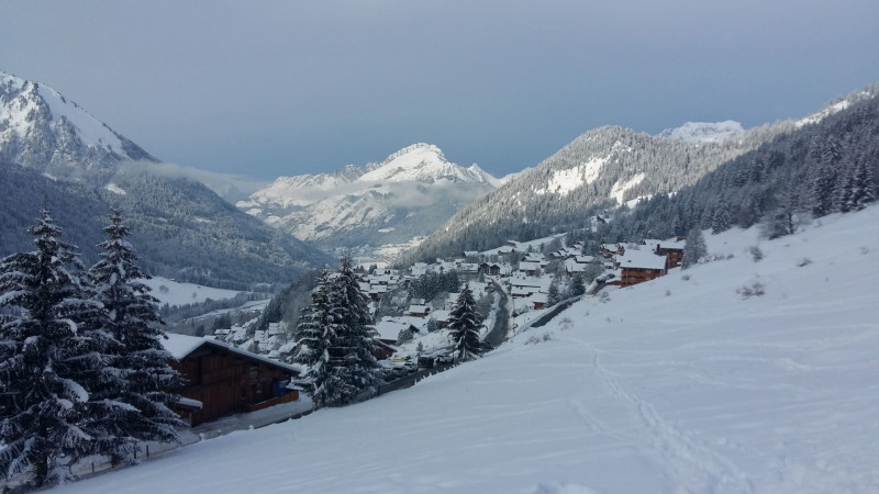 Résidence l'Alpage, Appartement 2E, Châtel, Vue de la terrasse, Weekend à Châtel 74